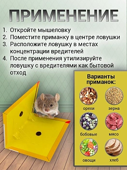 Клеевая мышеловка