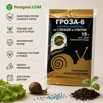 Гроза-6