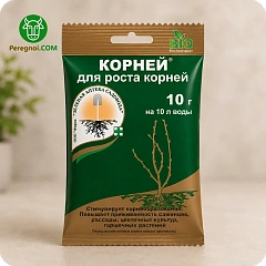 Корней
